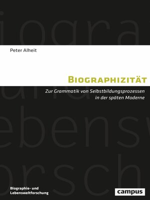 cover image of Biographizität